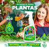 Alimento Revitalizador de Plantas en 24H